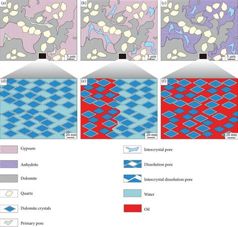 A Genetic Model For Pore Structure And Connectivity Of Tight The Mixed