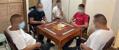 顶风作案！泰顺28人打麻将被抓 罗阳 行为 行动