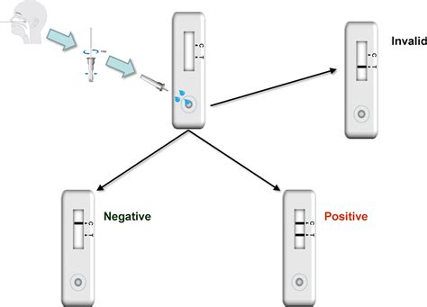 Clinical Assessment Of The Roche Sars Cov Rapid Antigen Test