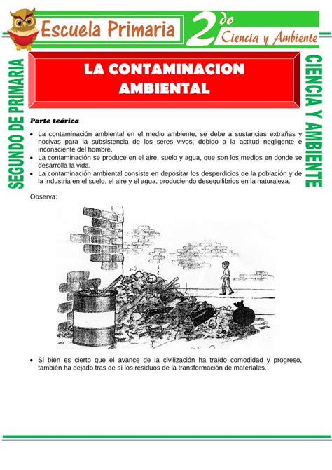 Pdf La Contaminacion Ambiental Escuela Primaria La