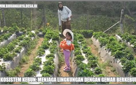 Ekosistem Kebun Menjaga Lingkungan Dengan Gemar Berkebun Desa Bhuana