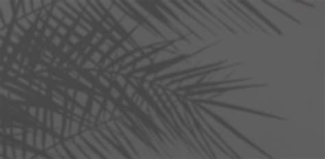 Dr. Alan Durkin | Board Certified Plastic Surgeon | Ocean Drive