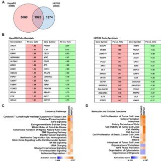 Transcriptional Response To Genistein Across Cell Types Gene