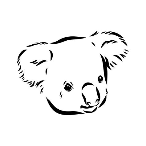 koala vector sketch 36439050 Vector Art at Vecteezy