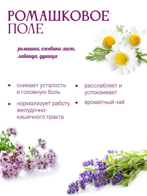 Чай из трав «Ромашковое поле» купить недорого в интернет-магазине ...