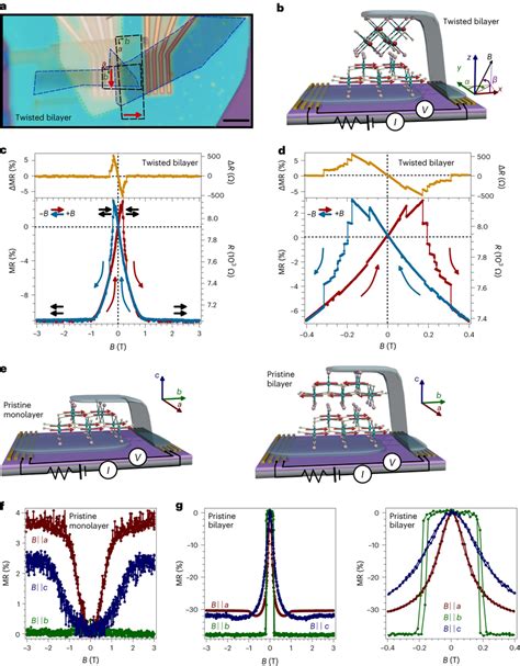 Magnetic Field Dependence Of The Mr In Orthogonally Twisted Bilayer