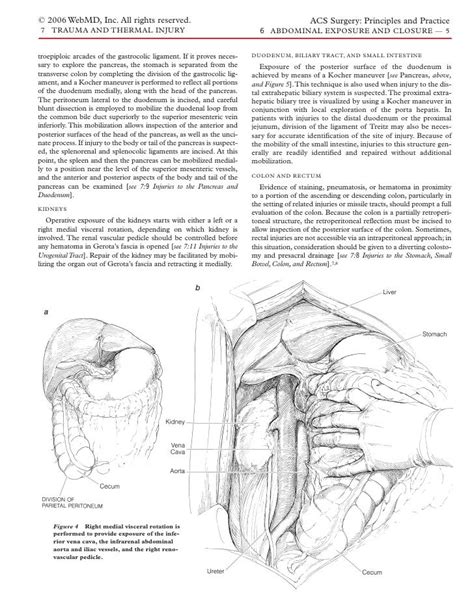 Acs0706 Operative Exposure Of Abdominal Injuries And Closure Of The A…