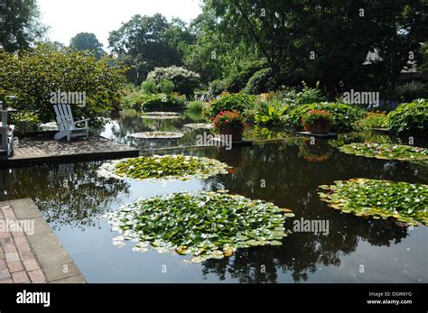 Ponds Hi Res Stock Photography And Images Alamy