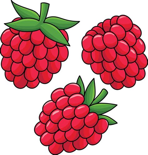 Raspberry Fruit Cartoon Colored Clipart 21964589 Vector Art At Vecteezy