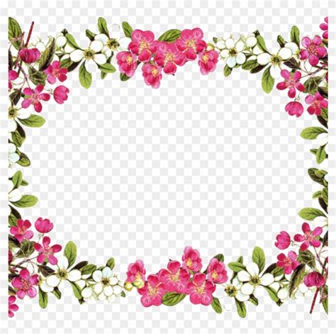 Flower Border Clipart Download Flowers Borders Free Floral Borders And Frames Free