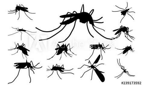 Mosquito Silhouette Vector at Vectorified.com | Collection of Mosquito Silhouette Vector free ...