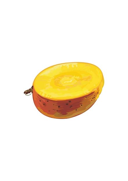 Fruit De Mangue Fruits D Licieux D T Illustration Vectorielle Dans Un