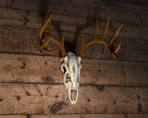 Obj File White Tailed Deer Skull 🦌・3d Print Model To Download・cults