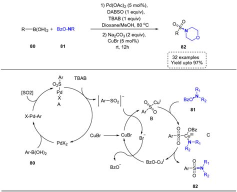 Tus One Pot Bimetal Catalyzed Amino Sulfonylation Of Aryl Boronic Acid