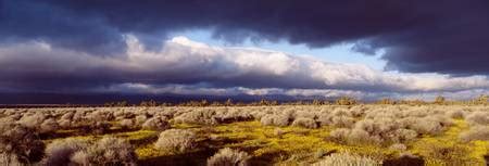 Stunning "Mojave Desert" Artwork For Sale on Fine Art Prints