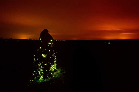 Bioluminesc Ncia Parque Nacional Das Emas