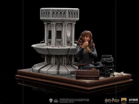 Harry Potter Hermione Granger Polyjuice Harry Potter Deluxe Art 1 10