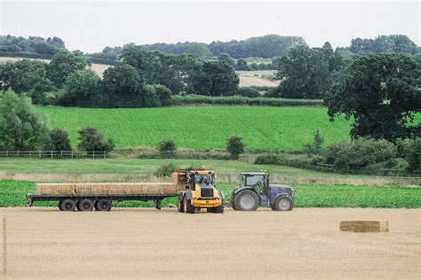 Wheel Loader Collecting Straw Bales And Loading Them Onto A Trac Del