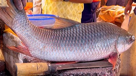 Amazing Fish Cutting Skills Big Rohu Fish Cutting Skills Live