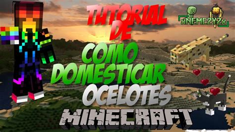 MineCraft Xbox360 Tutorial De Como Domesticar Ocelotes YouTube