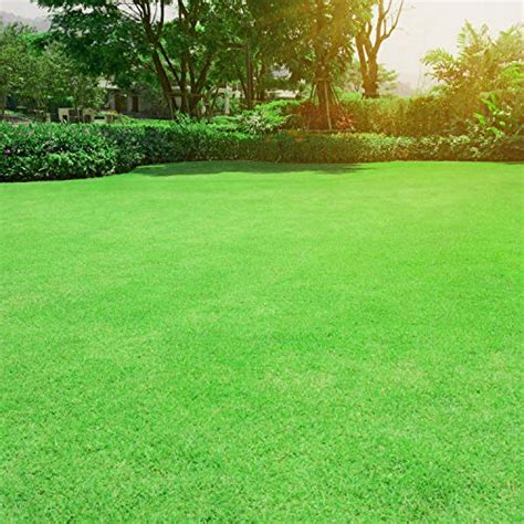 Outsidepride Oasis Bermuda Lawn Grass Seed Blend 10 Lbs Pricepulse