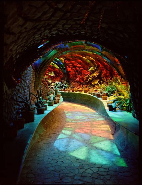 El Nido De Quetzalcóatl A Residential Corganic House