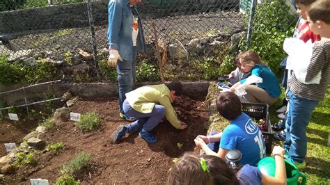 Escola Eb Pe Ribeiro Domingos Dias Atividades Nas Hortas Da Escola