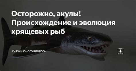 Осторожно, акулы! Происхождение и эволюция хрящевых рыб | Сказки юного ...