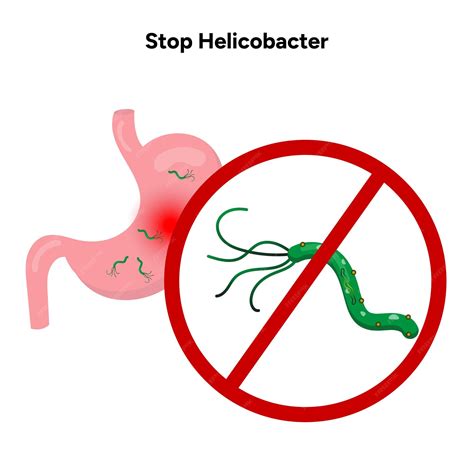 Premium Vector | Stop Helicobacter pylori