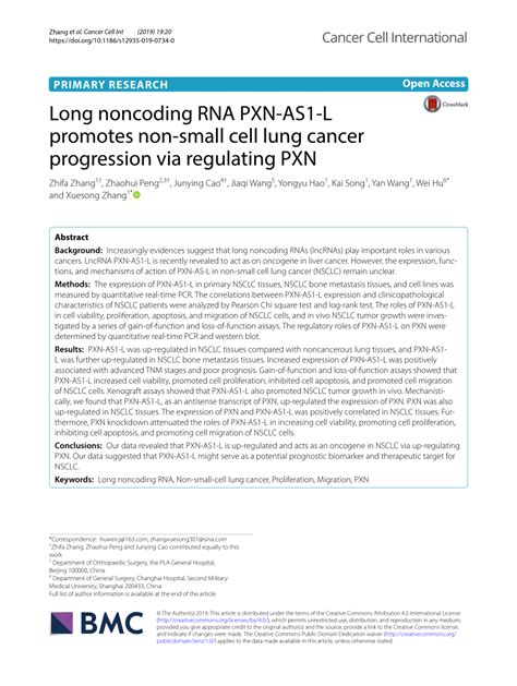 Pdf Long Noncoding Rna Pxn As1 L Promotes Non Small Cell Lung Cancer