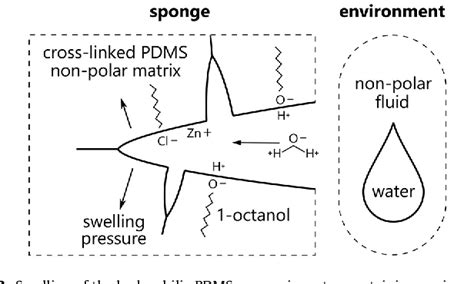 Figure 1 From Hydrophilic Polydimethylsiloxane Based Sponges For