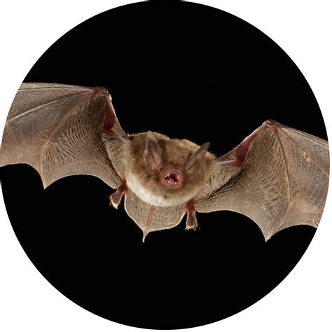 Why and canton ohio is the newest tech hub in the midwest