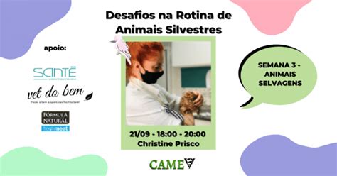 Desafios Na Rotina De Animais Silvestres Online Sympla