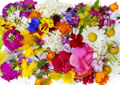 Sommer Blumen Arrangement Jigsaw Puzzle In Puzzle Des Tages Puzzles Auf