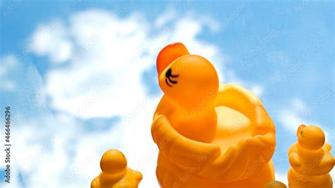 cute yellow rubber duck family Stock Photo | Adobe Stock