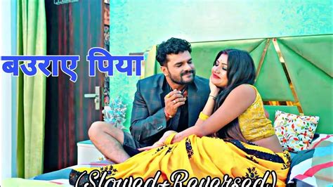 बउराह पिया Lofi Khesari Lal Yadav Ft Rani Baurah Piya Latest Bhojpuri Superhit Song