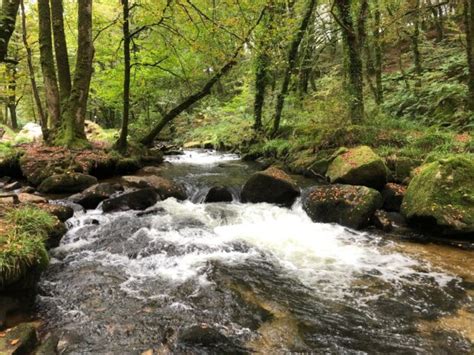 The “battery-powered” partnerships of Nature recovery – Natural England