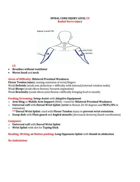 Spinal: C5 Spinal Cord Injury