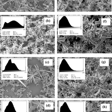 A The Typical Xrd Patterns Of The Zno Samples And B Dislocation Density