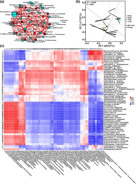 Metagenomics Reveals Microbial Communities And Functional Differences