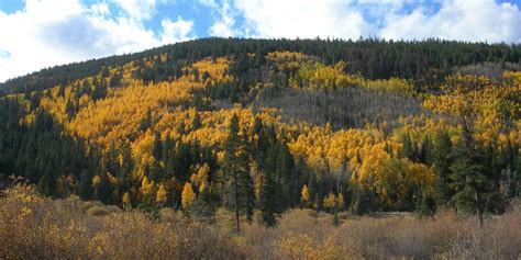 Wheeler Lake - near Alma and Breckenridge, CO - Uncover Colorado