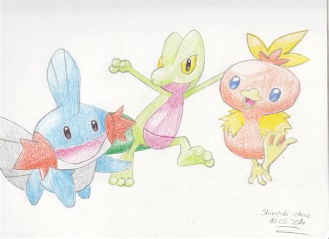 Pokemon 3rd gen starters by Shiroichi-chan on DeviantArt