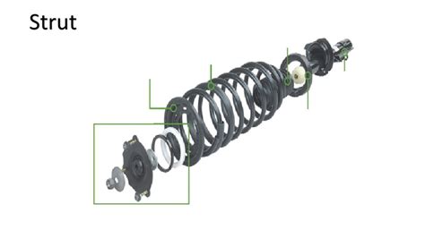 Strut assembly Diagram | Quizlet