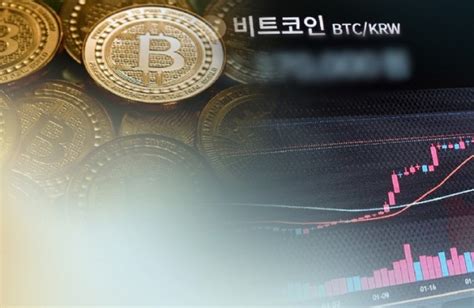 비트코인 현물 Etf 승인 가짜뉴스에 비트코인 가격 급등락 금융소비자뉴스