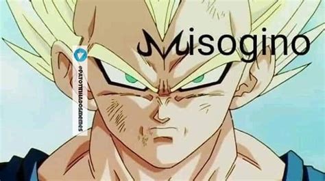 Meme Vegeta Misogino Meme Subido Por Patotinhadosmemes Memedroid