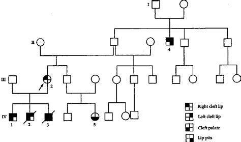 Figure From Short Communication Prenatal Diagnosis Of Cleft Lip At