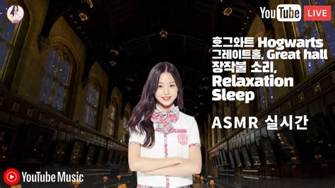 4k Asmr Sound Of A Firewood 참나무 장작타는소리 모닥불 Greathall Hogwarts