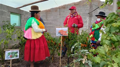 Puno M S De Familias Fortalecieron Sus Capacidades Productivas