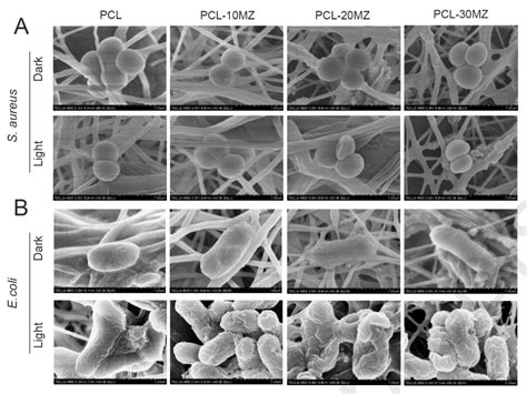 天津大学吴水林：光致抗菌pclmos2zns杂化纳米纤维的制备与表征合成光谱光热