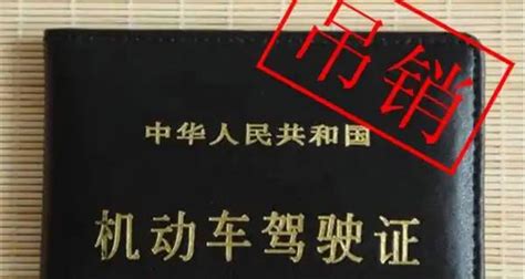 驾照到期没有及时更换会怎么样 驾照考试 开车技巧网